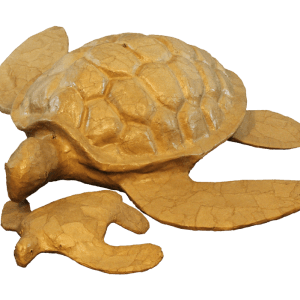 Biodegradable Turtle Urns