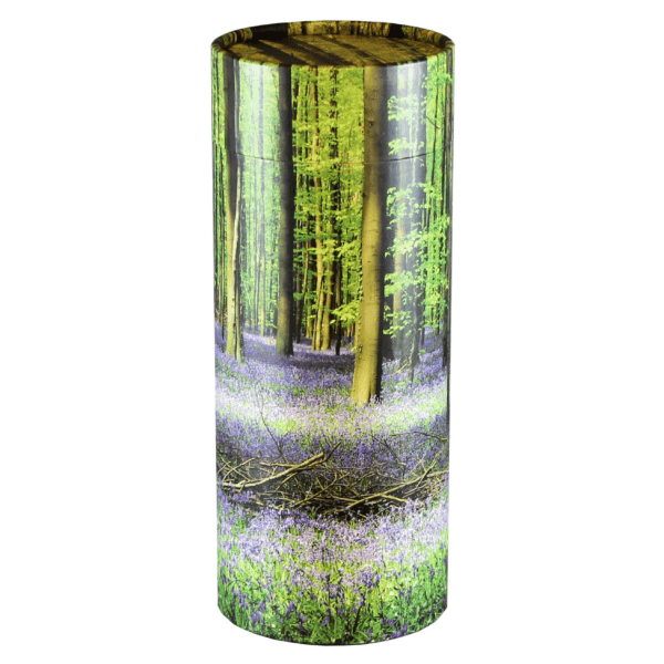 Scattering Tube Bluebell Forest