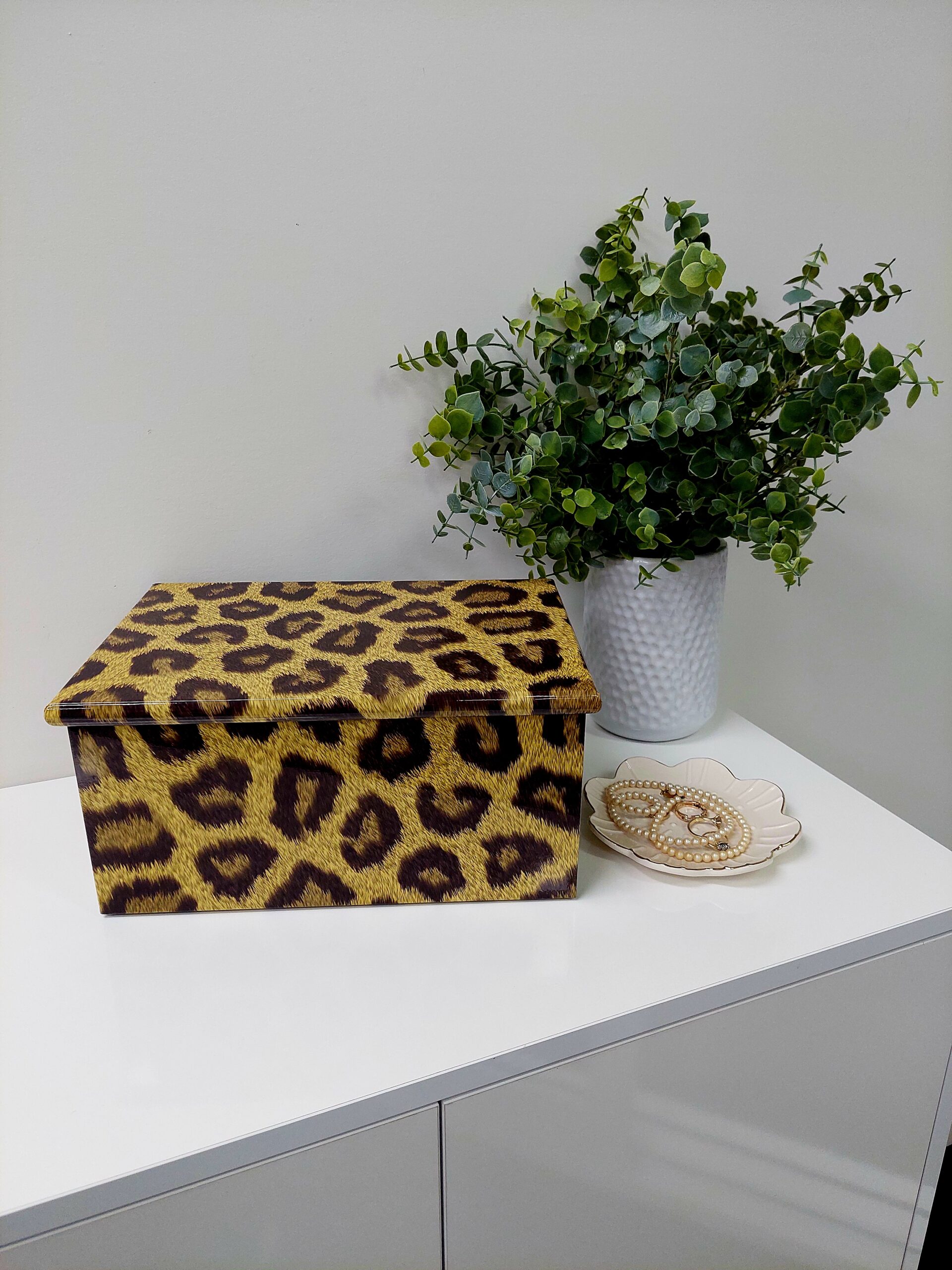 Leopard Print Box - MVC